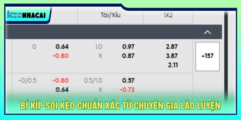Bí kíp soi kèo chuẩn xác từ chuyên gia lão luyện