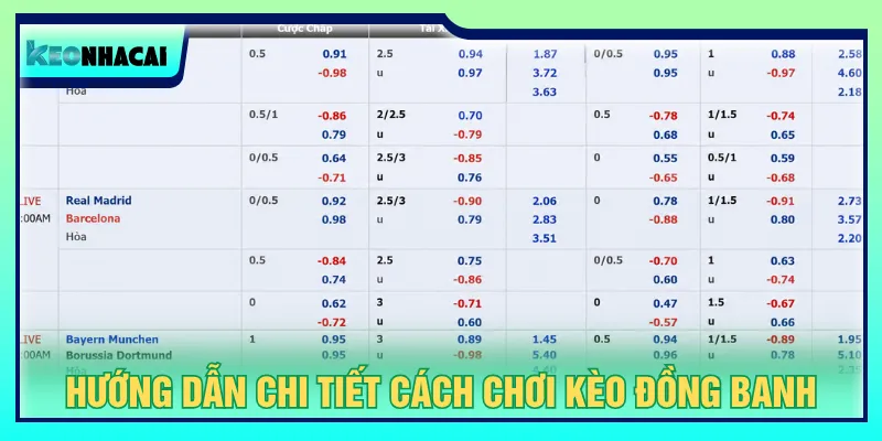 Người mới nắm rõ trường hợp thắng thua để đặt cược dễ dàng