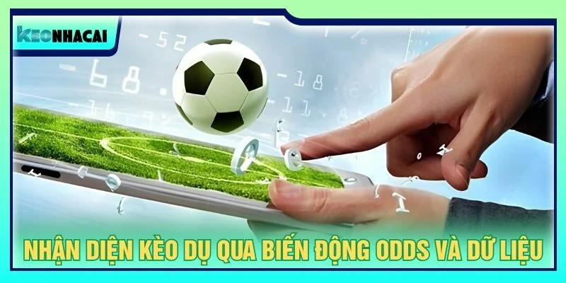 Nhận diện kèo dụ qua biến động odds và dữ liệu